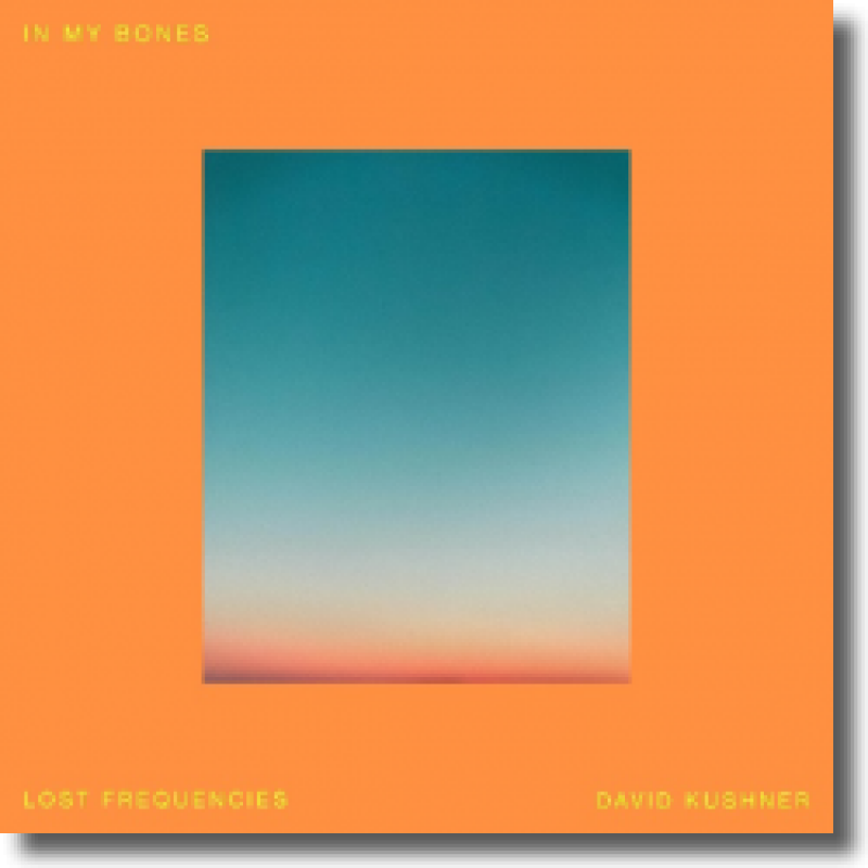 Lost Frequencies & David Kushner - In My Bones