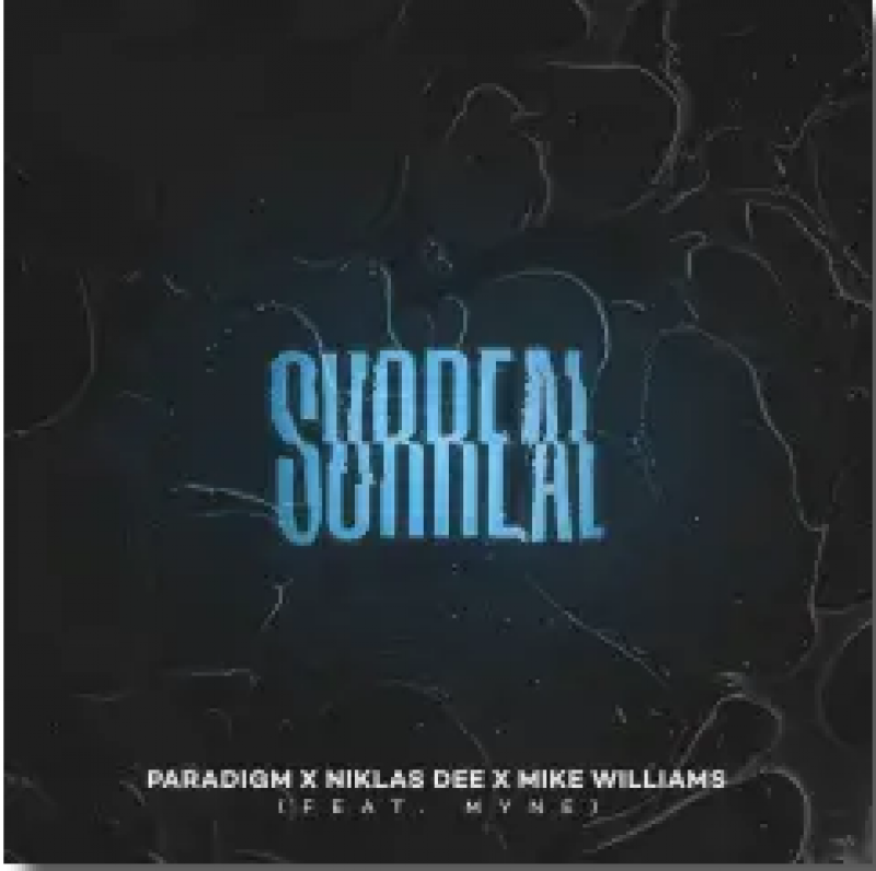 Paradigm, Niklas Dee, Mike Williams feat. myne - Surreal