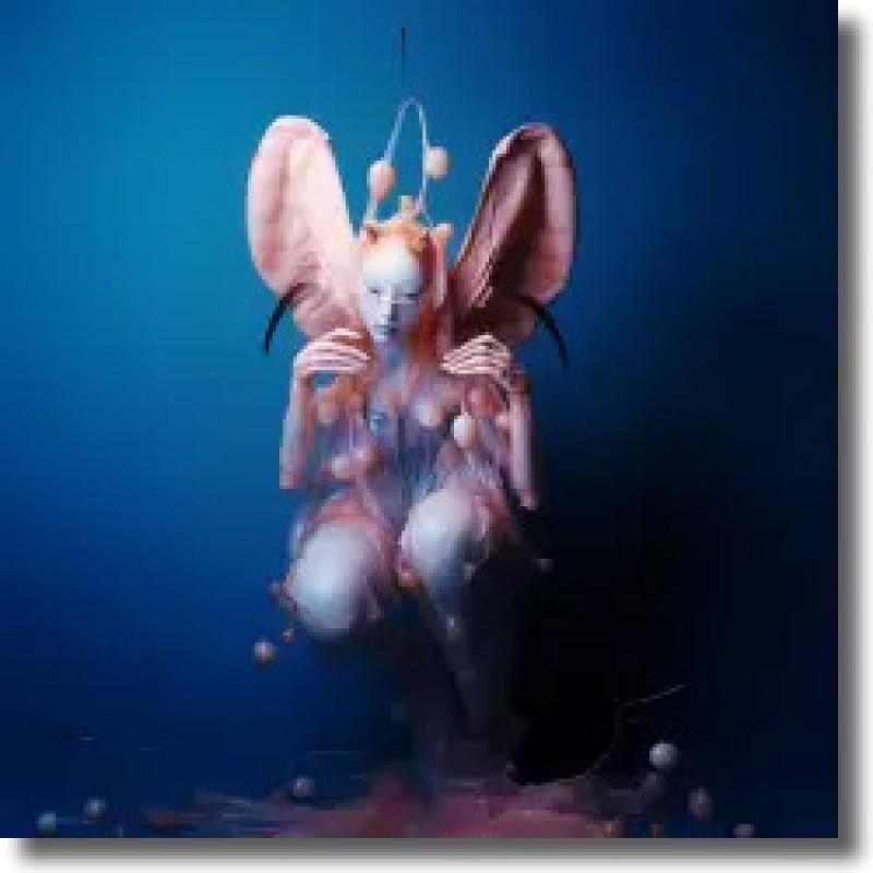 Nina Eba - Morpho