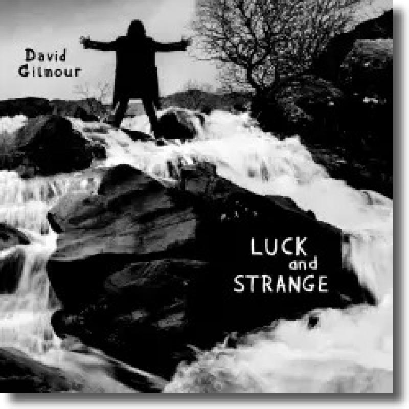 David Gilmour - Luck and Strange