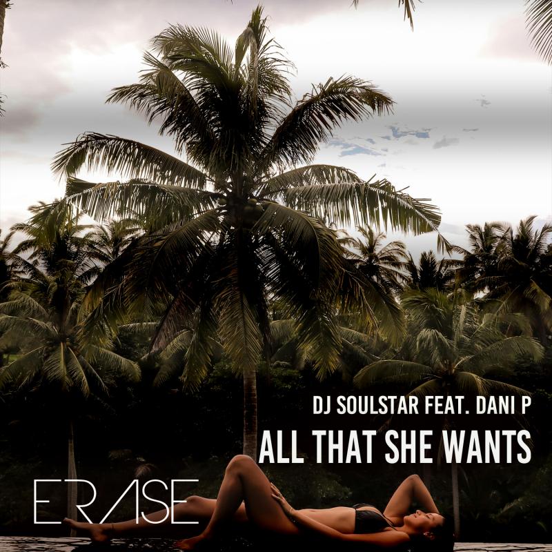 DJ Soulstar feat. Dani P. - All that she wants