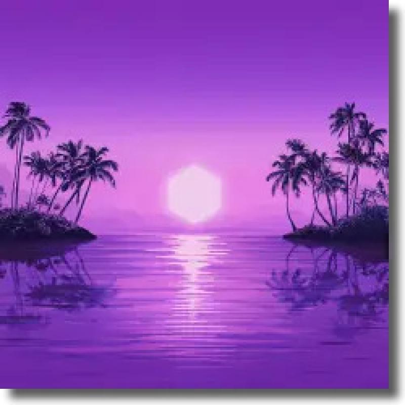 Purple Disco Machine - Paradies