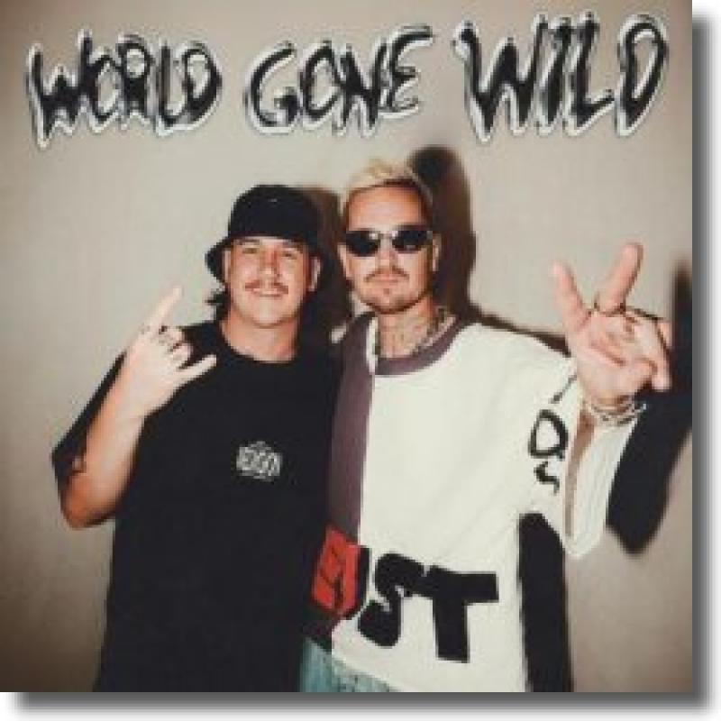 Robin Schulz & CYRIL feat. Sam Martin - World Gone Wild