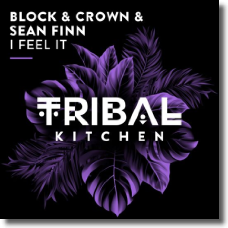 Block & Crown, Sean Finn - I Feel It