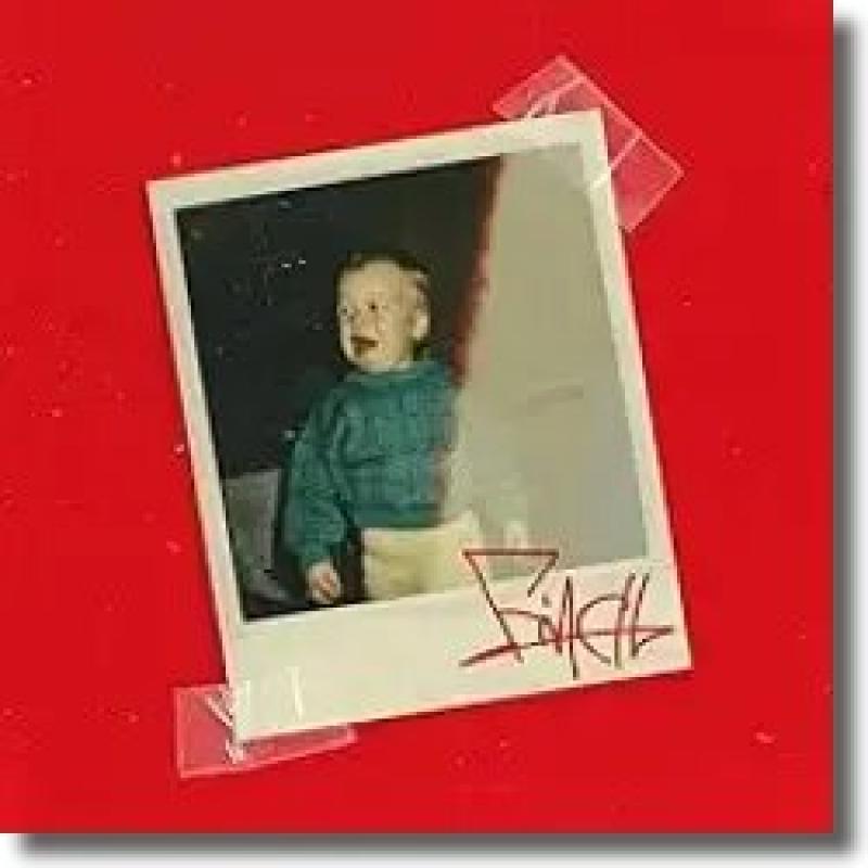 FiNCH - Wenn du dumm bist