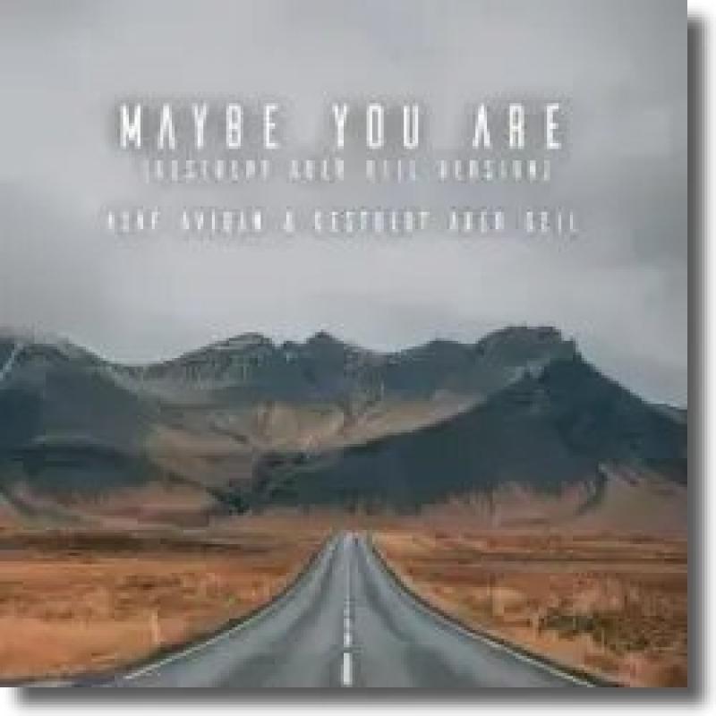 Asaf Avidan & Gestört aber GeiL - Maybe You Are