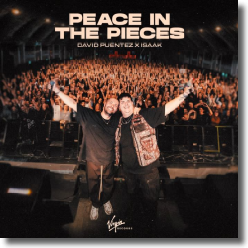 David Puentez & ISAAK - Peace In The Pieces
