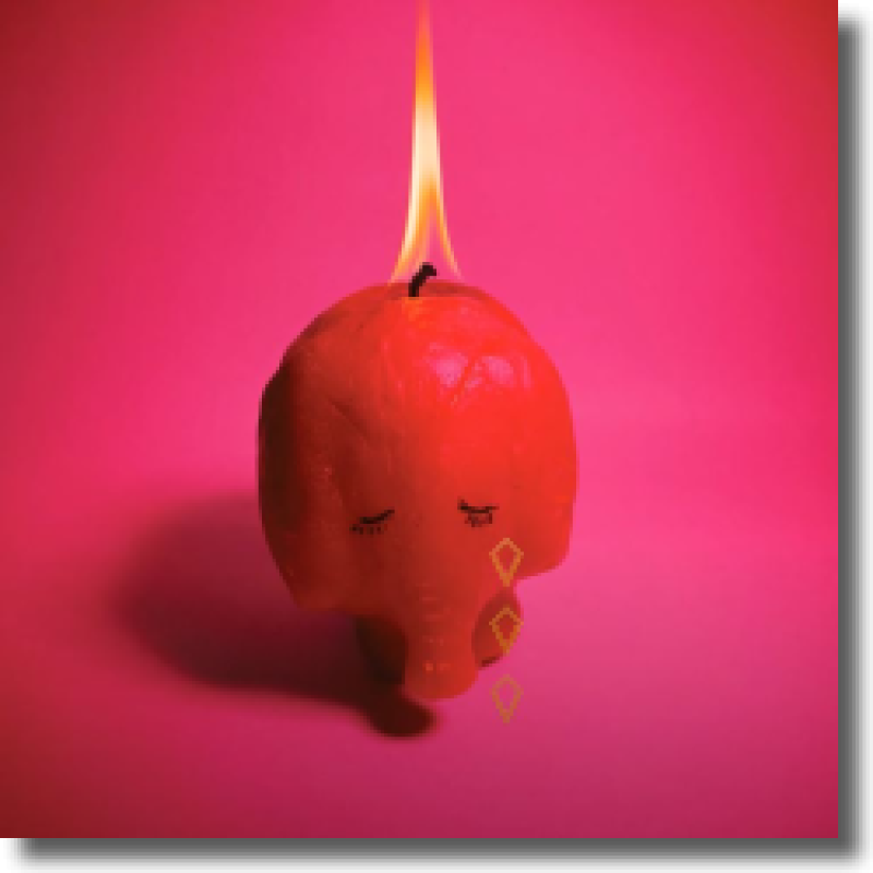 Arcade Fire - Pink Elephant