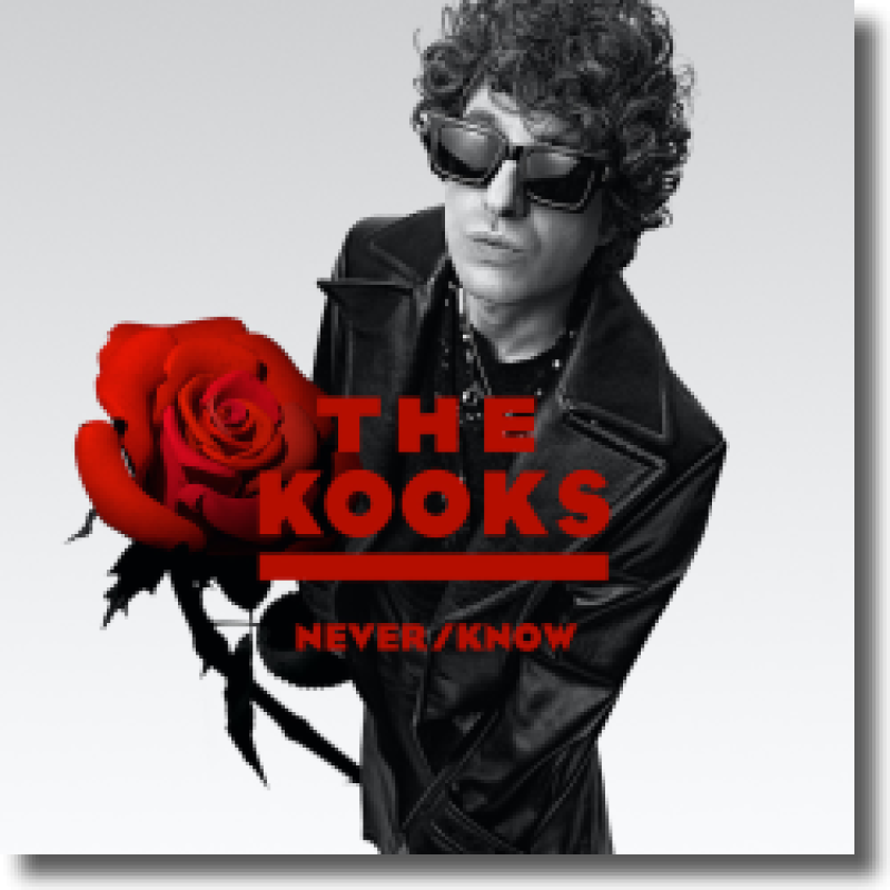 The Kooks - Never/Know