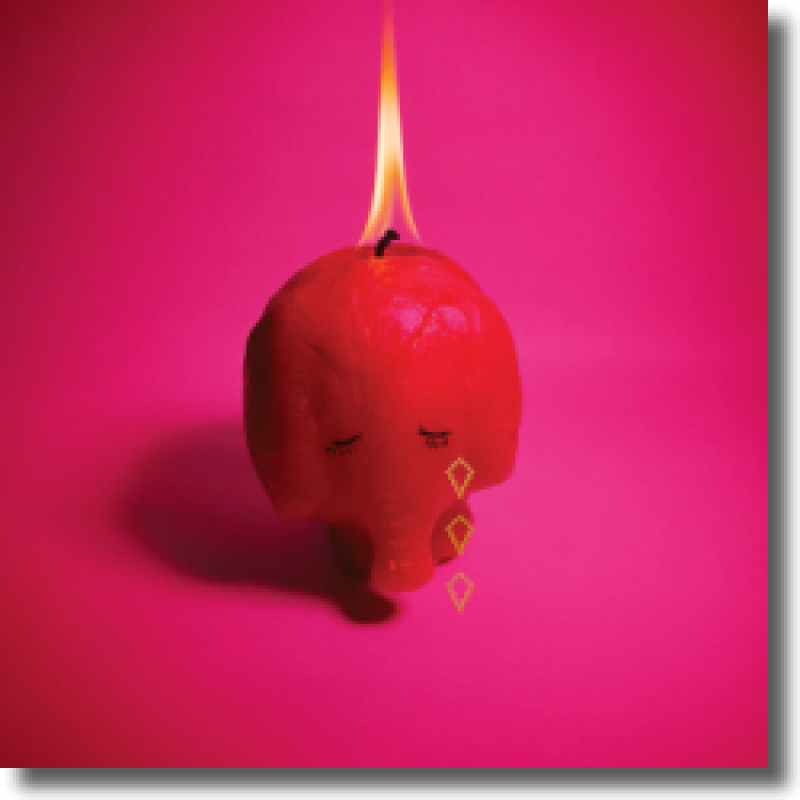 Arcade Fire - Pink Elephant