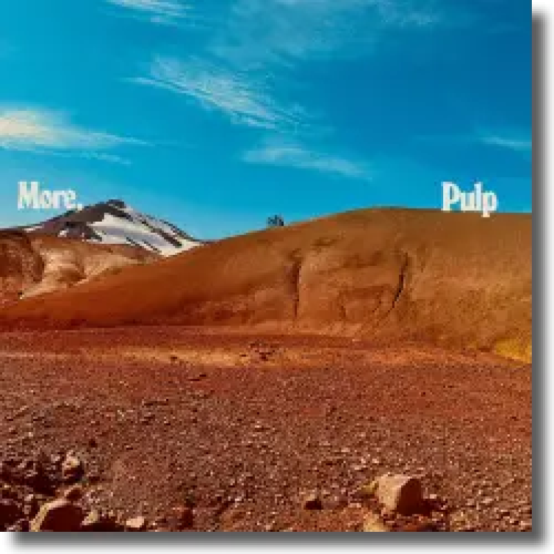 Pulp - More