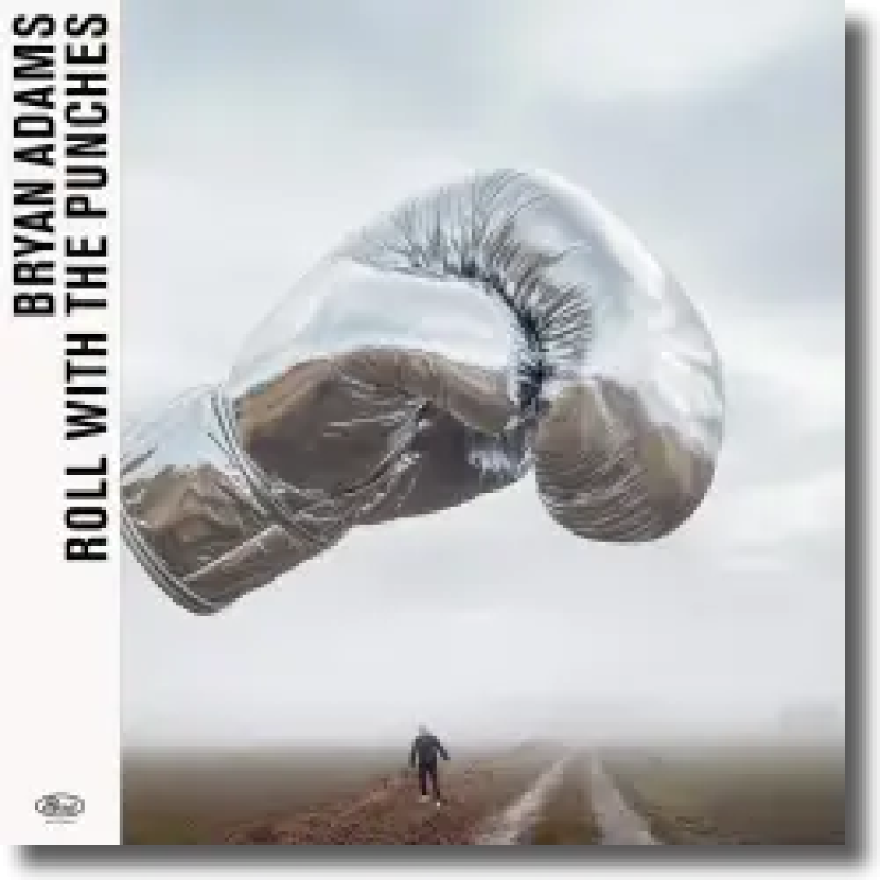 Bryan Adams - Roll With the Punches