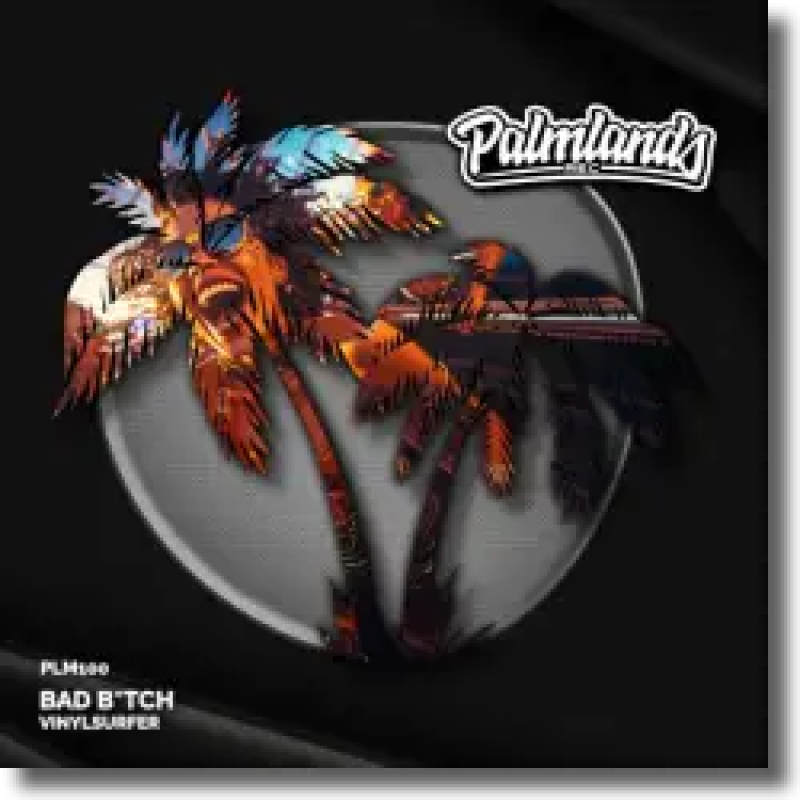 Vinylsurfer - Bad B*tch
