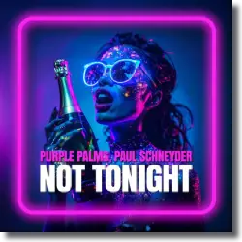 Purple Palms & Paul Schneyder - Not Tonight