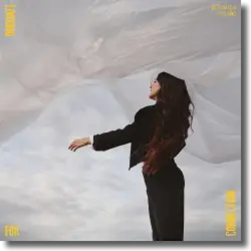 Veronica Fusaro - Looking For Connection