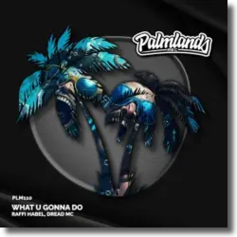 Raffi Habel & Dread MC - What U Gonna Do